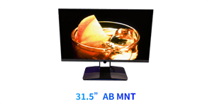 31.5”AB MNT-May-15-2024-11-06-34-0114-AM